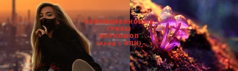 Галлюциногенные грибы Magic Shrooms Волгореченск